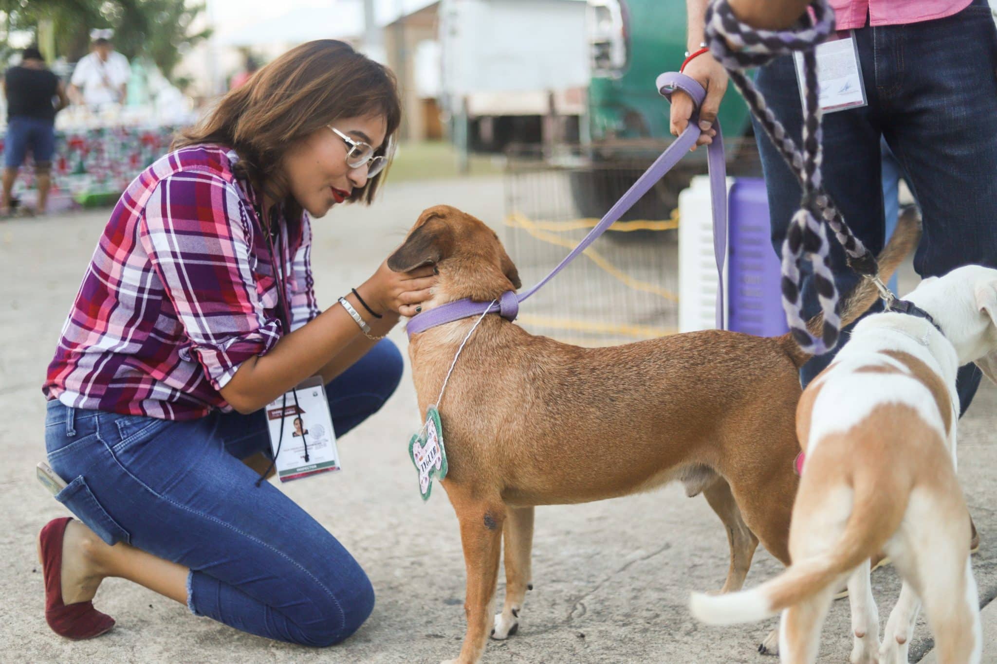 Reforma en Quintana Roo busca garantizar acceso con perros guía sin restricciones 
