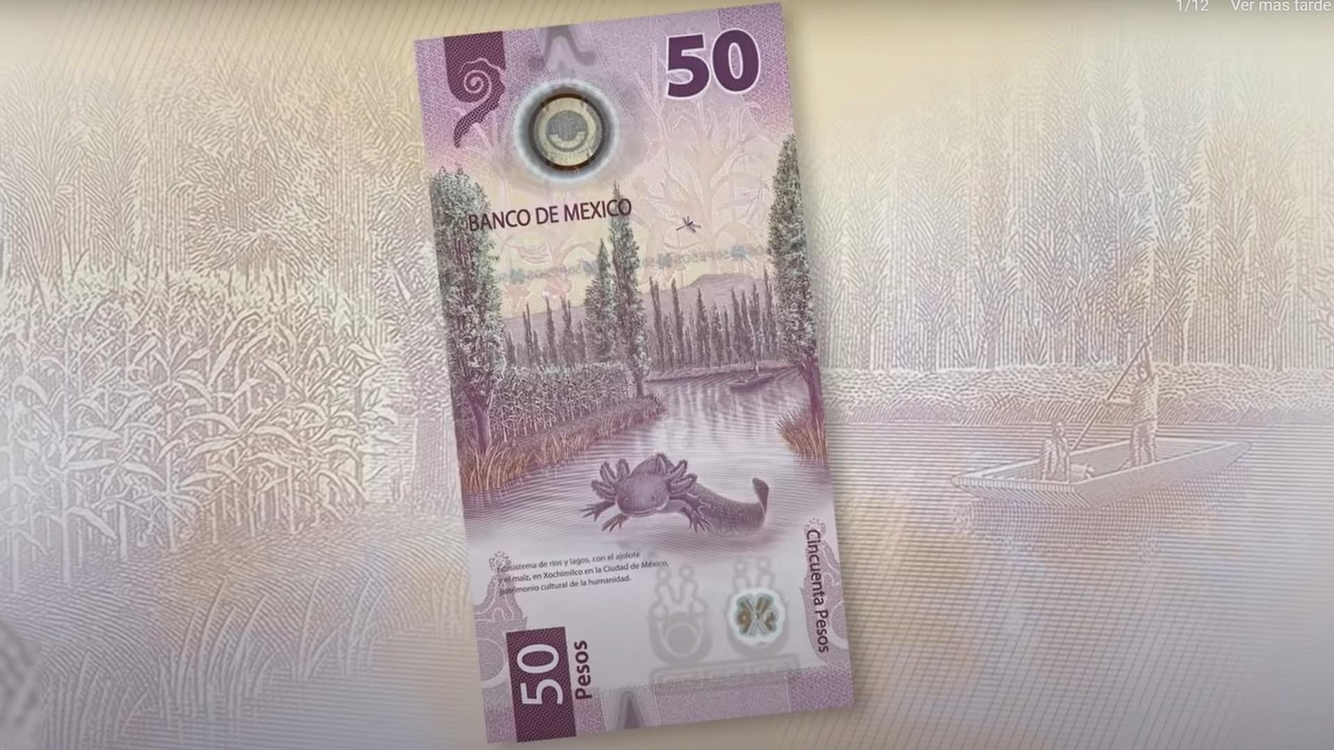Billetes mexicanos: Por qué tienen animales y ecosistemas