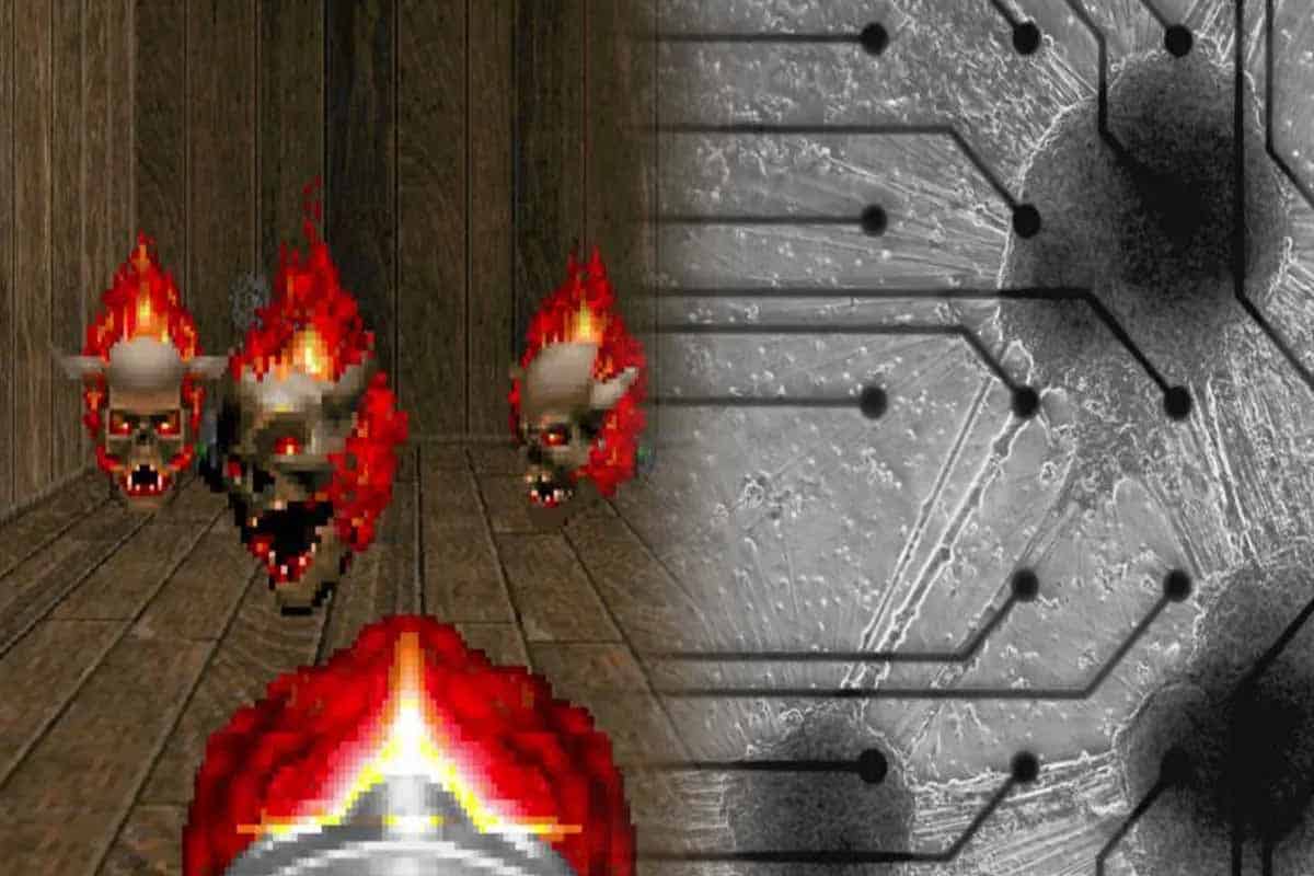 Computadora biológica aprende a jugar Doom