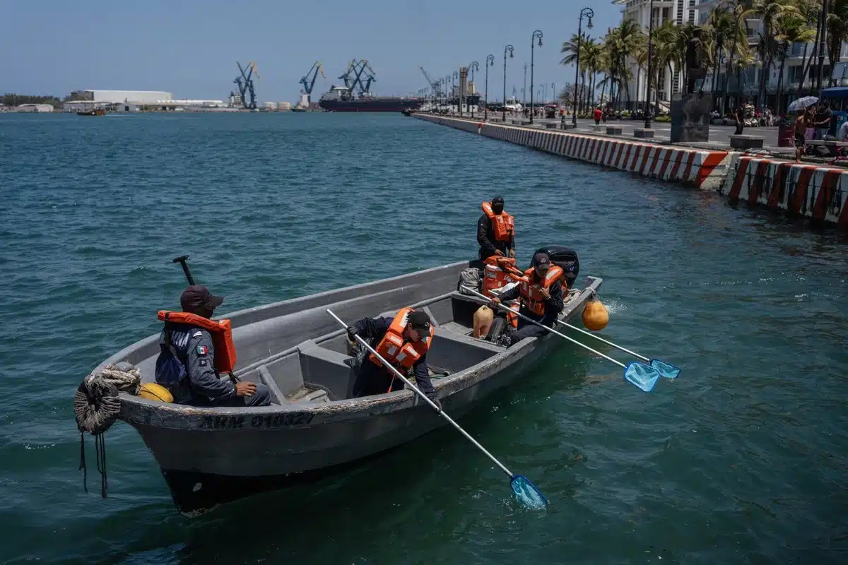 Derrame en Golfo de México: control y limpieza en costas