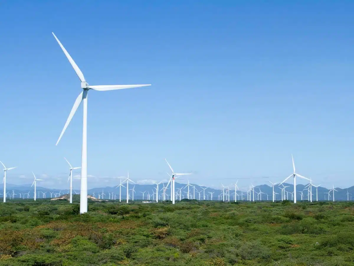 Energía eólica: IA promete luz más barata en el futuro