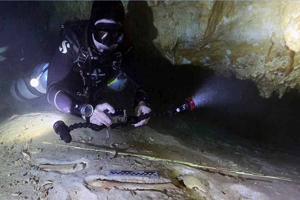 Esqueleto humano es hallado en cenote de Quintana Roo Esqueleto humano es hallado en cenote de Quintana Roo