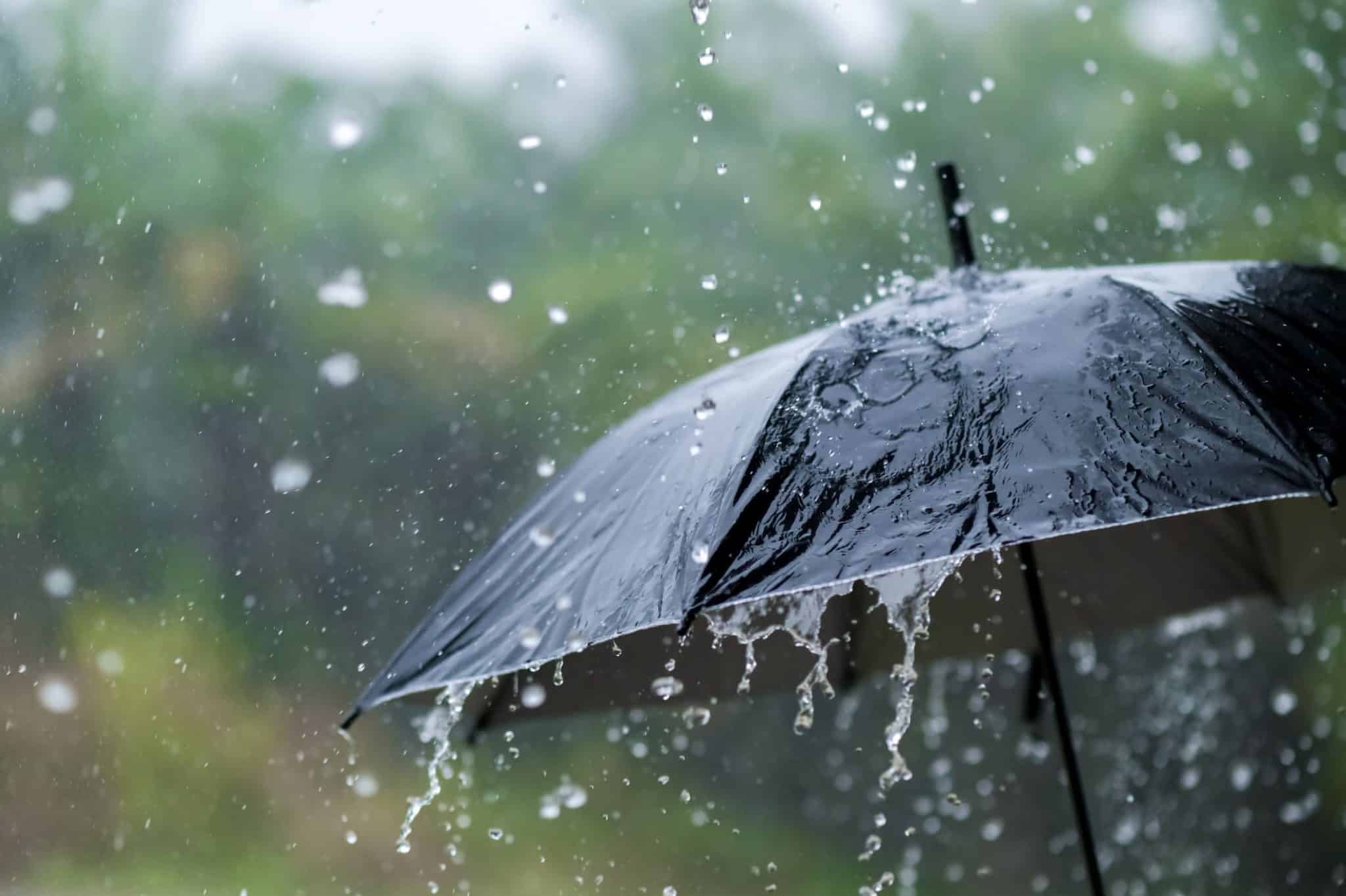 Estados donde más llueve en México y por qué tienen tanta precipitación Estados donde más llueve en México y por qué tienen tanta precipitación