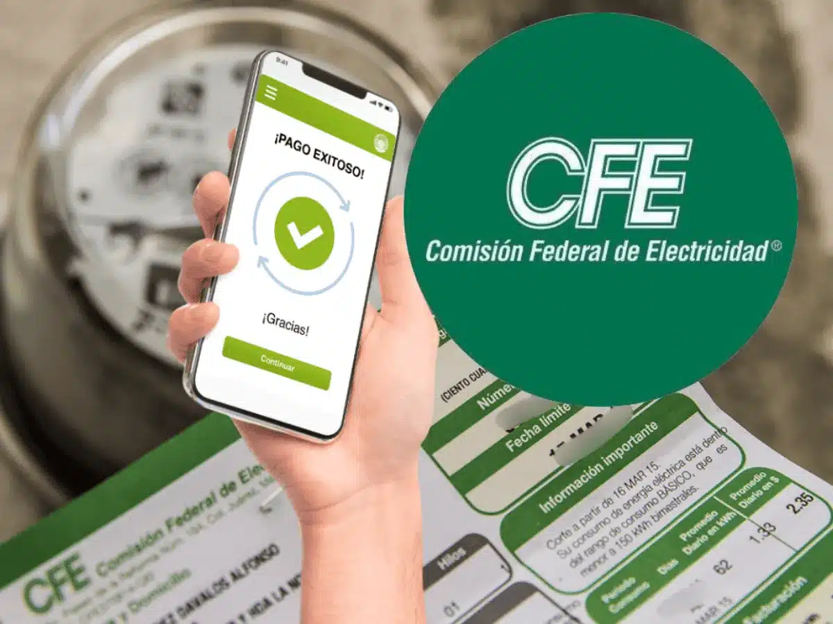tarifas cfe Por qué algunos estados pagan menos luz que otros