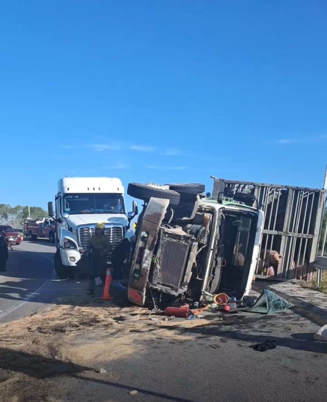 Vuelca camión con cerdos en Valladolid