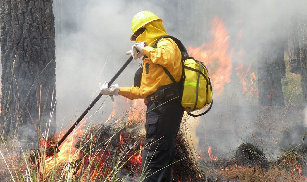 Con incendios forestales a la baja, Yucatán ajusta estrategia para este 2026 Con incendios forestales a la baja, Yucatán ajusta estrategia para este 2026