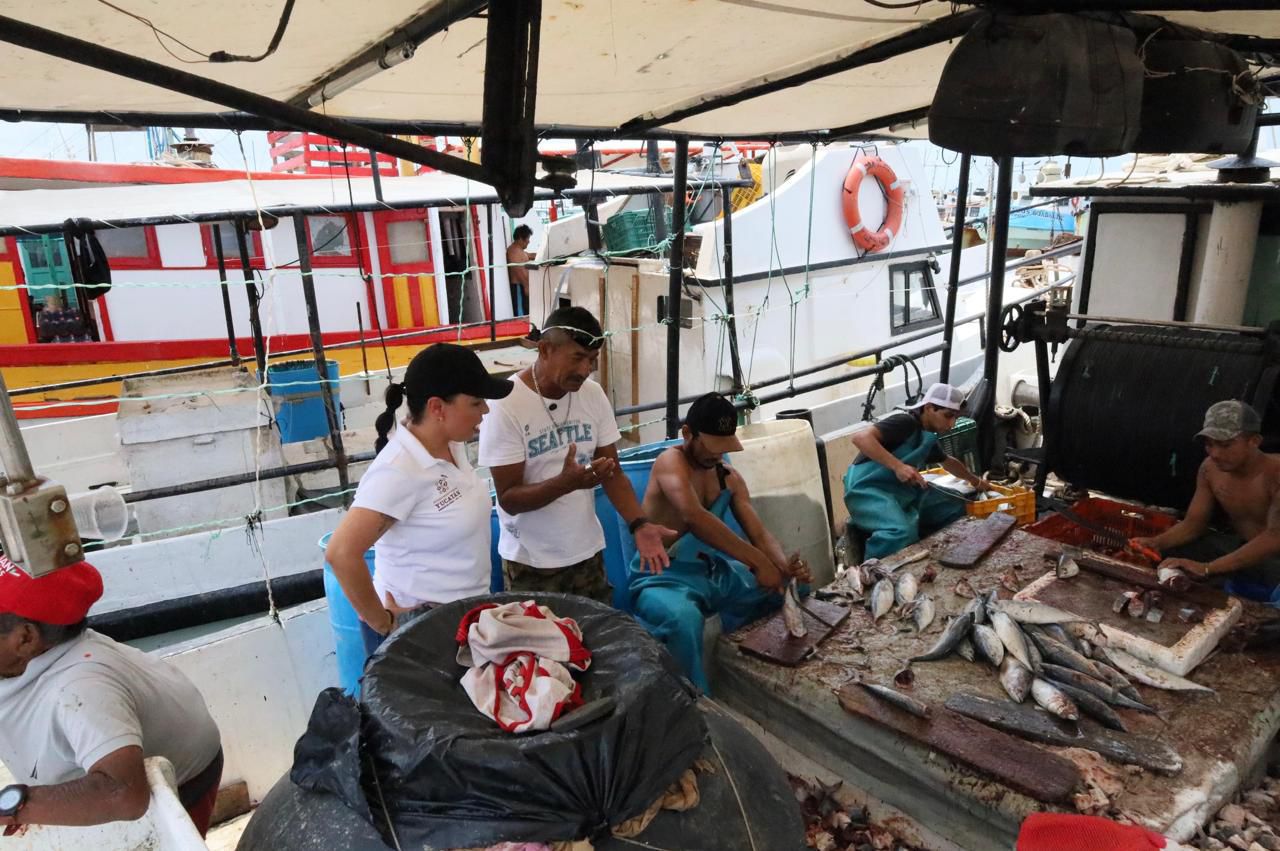 Arranca temporada de captura de mero en Yucatán