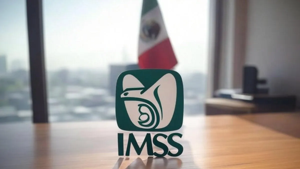 Cómo pagar IMSS por tu cuenta para tener pensión y guarderías