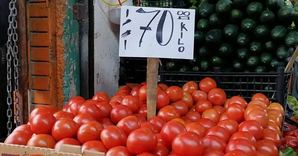Jitomate caro: consumidores pagan hasta triple del precio real