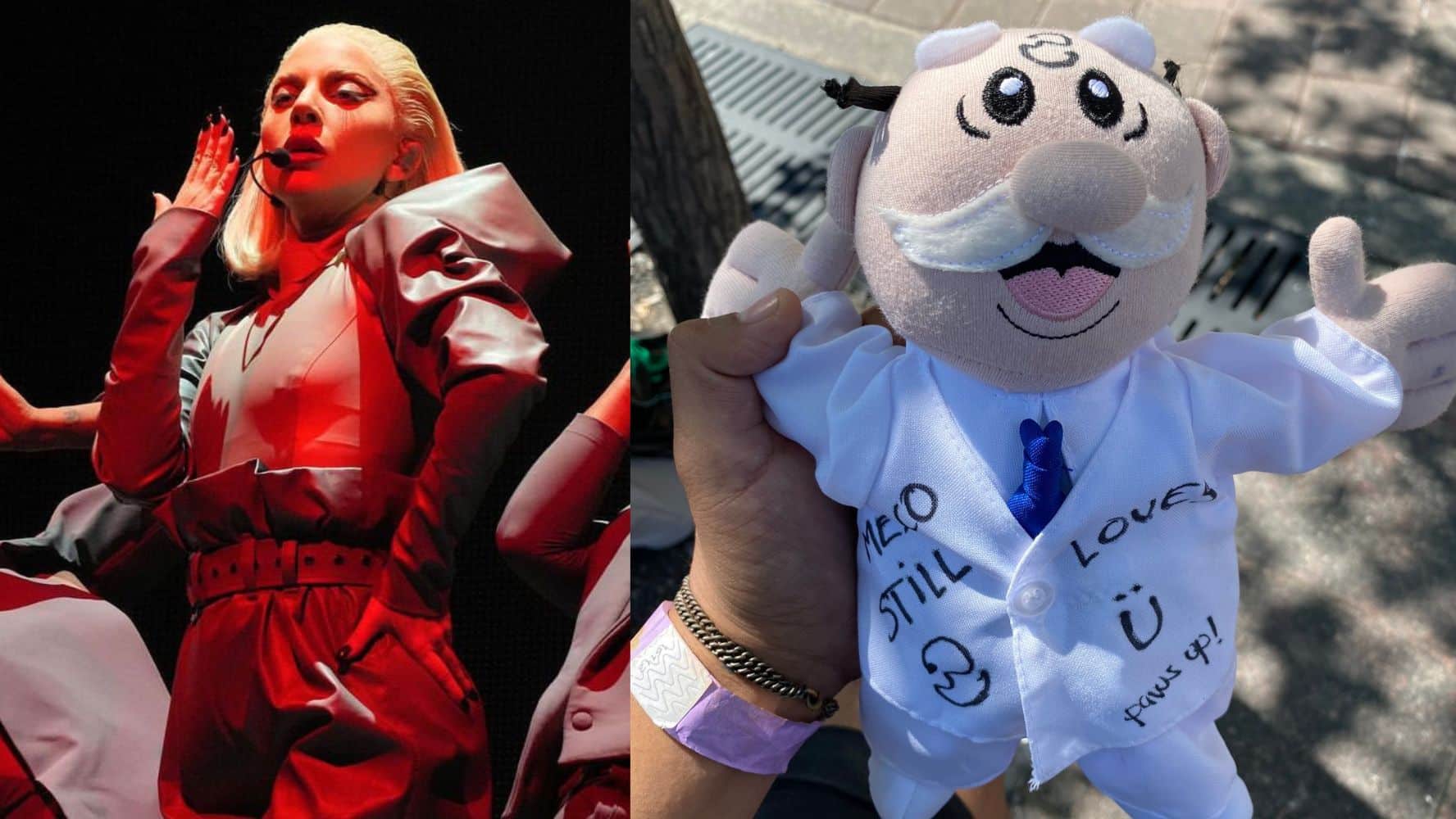 Peluches Dr. Simi: El origen de la tradición en conciertos de México