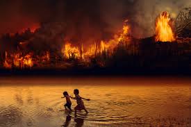 Top de los incendios forestales más devastadores de Latinoamérica