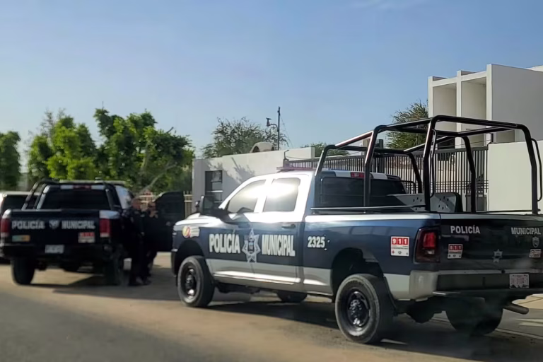 delitos de menores más frecuentes en el panorama actual de México