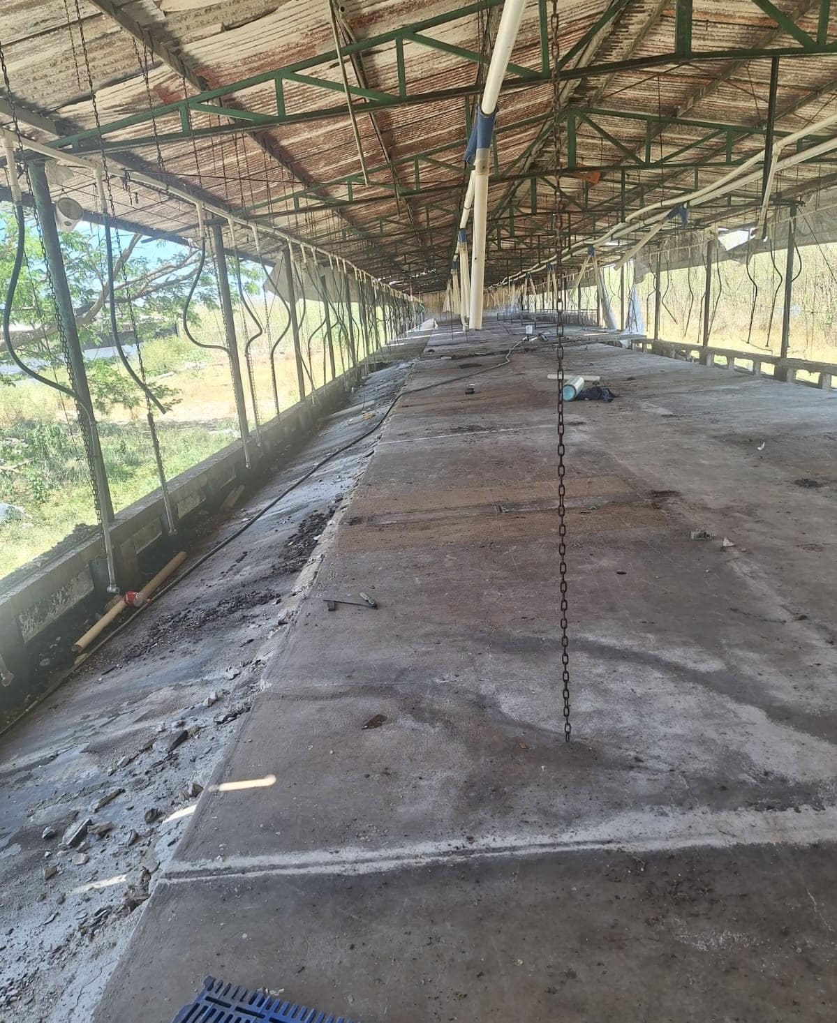 Profepa confirma cierre de granja porcícola en Mérida Profepa confirma cierre de granja porcícola en Mérida