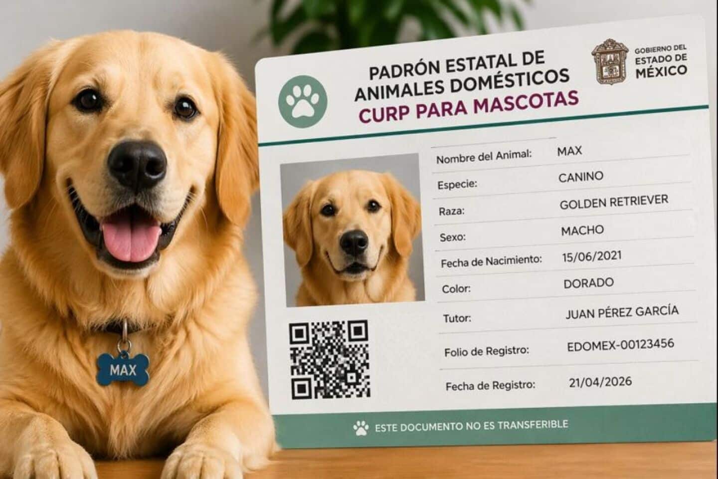 CURP para mascotas
