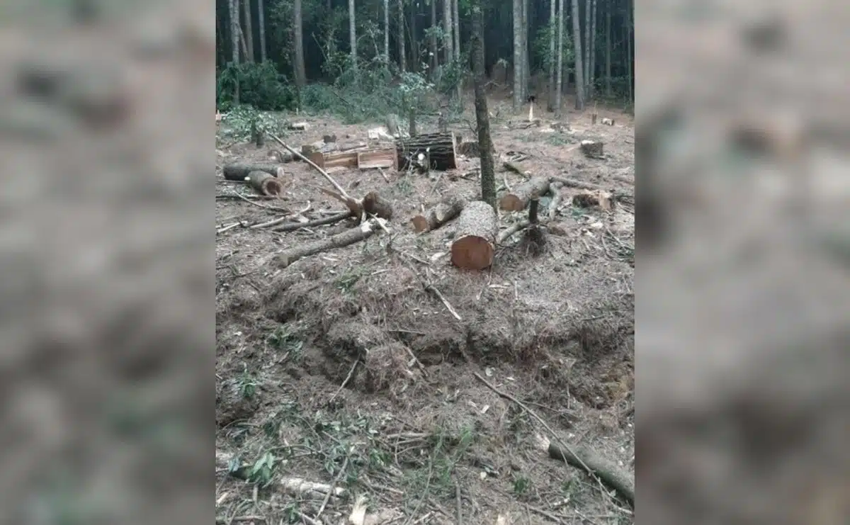 Enfrentamiento en Edomex deja muertos y bloqueos en carretera