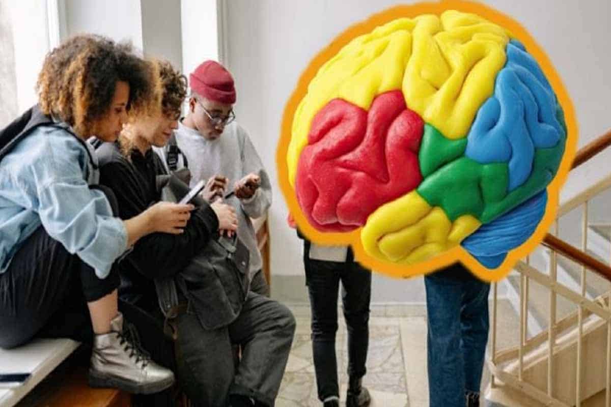 Adolescencia cerebral revela cambios hasta los 32 años Adolescencia cerebral revela cambios hasta los 32 años