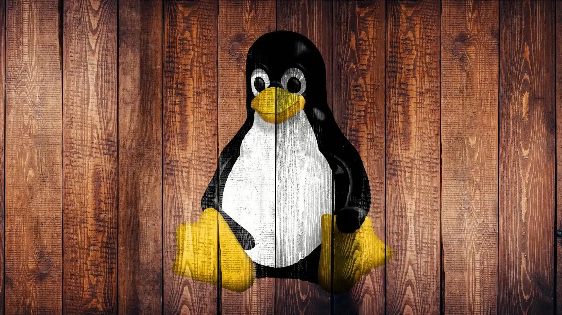 Cómo el Malware de Linux puso en alerta a miles de servidores Cómo el Malware de Linux puso en alerta a miles de servidores