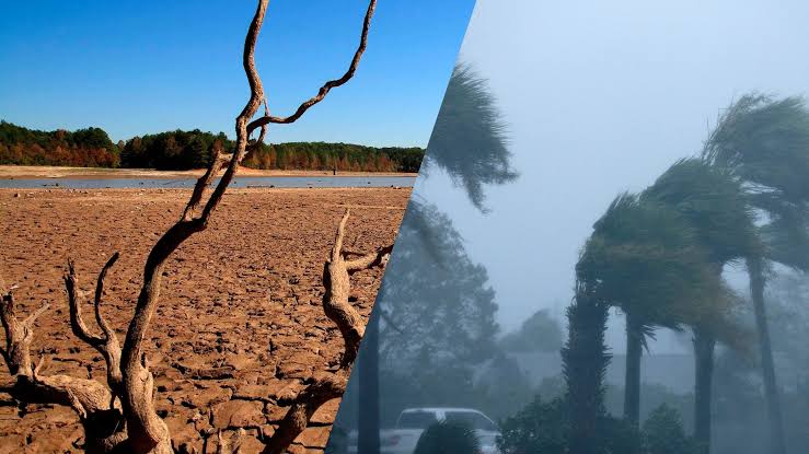 El Niño y huracanes: Por qué preocupa a meteorólogos y expertos