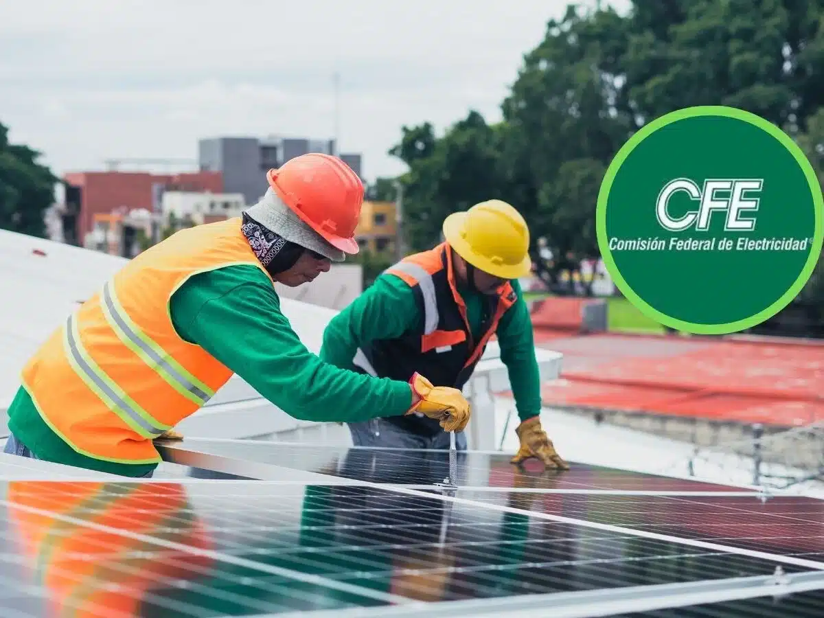 Paneles solares el programa que promete reducir hasta 85% tu recibo de luz Paneles solares: el programa que promete reducir hasta 85% tu recibo de luz