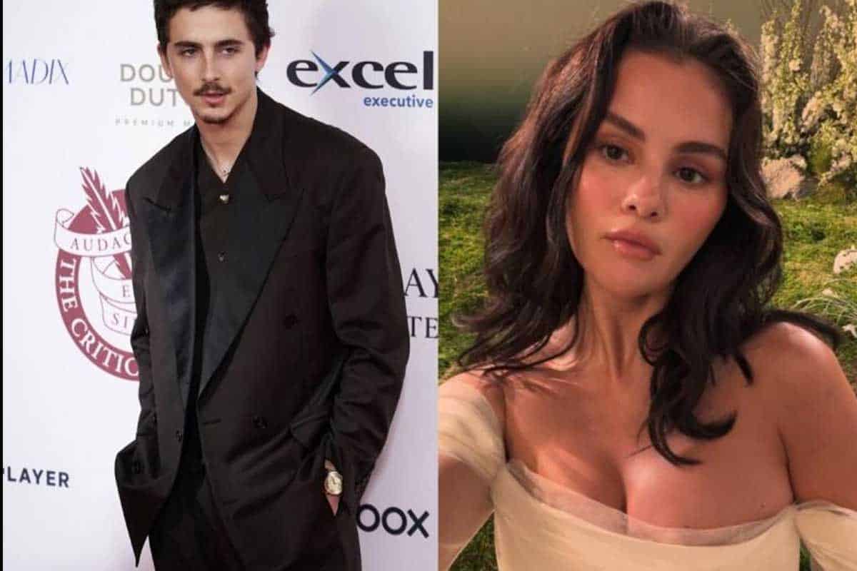 Timothée confirma nueva película animada junto a Selena