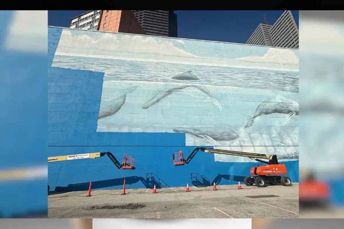 Wyland demanda a FIFA por borrar mural histórico en Dallas
