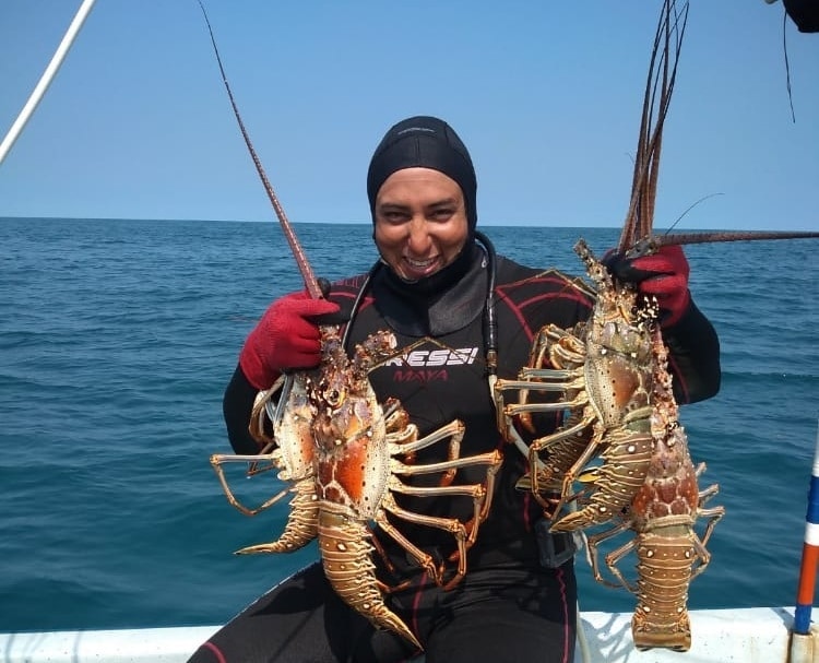 Arranca temporada de captura de langosta en Yucatán