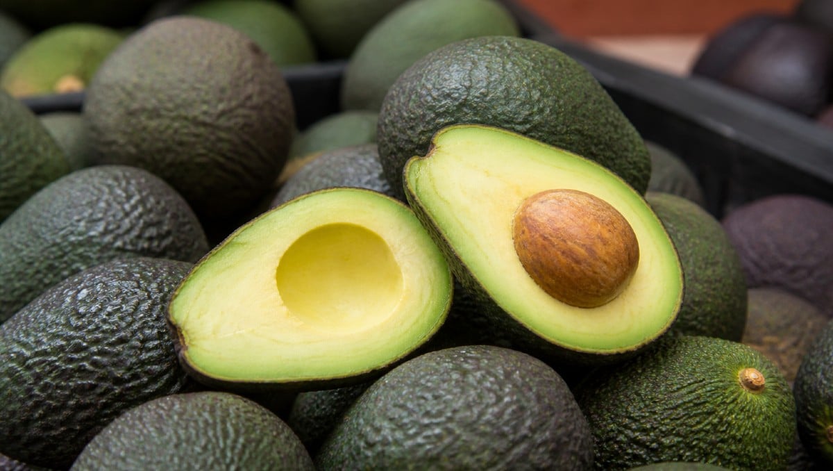 Aguacate en México: Estas son las razones del precio tan caro