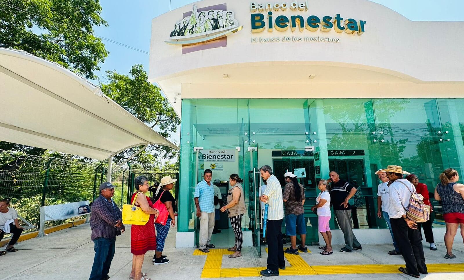 ¿Por qué no ha llegado tu Pensión Bienestar y qué debes hacer?