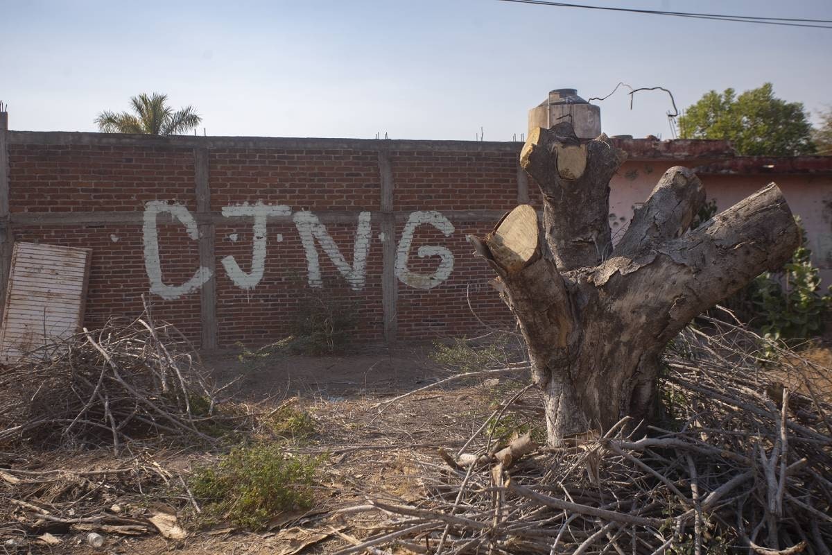 Los negocios legales que financiaban al CJNG