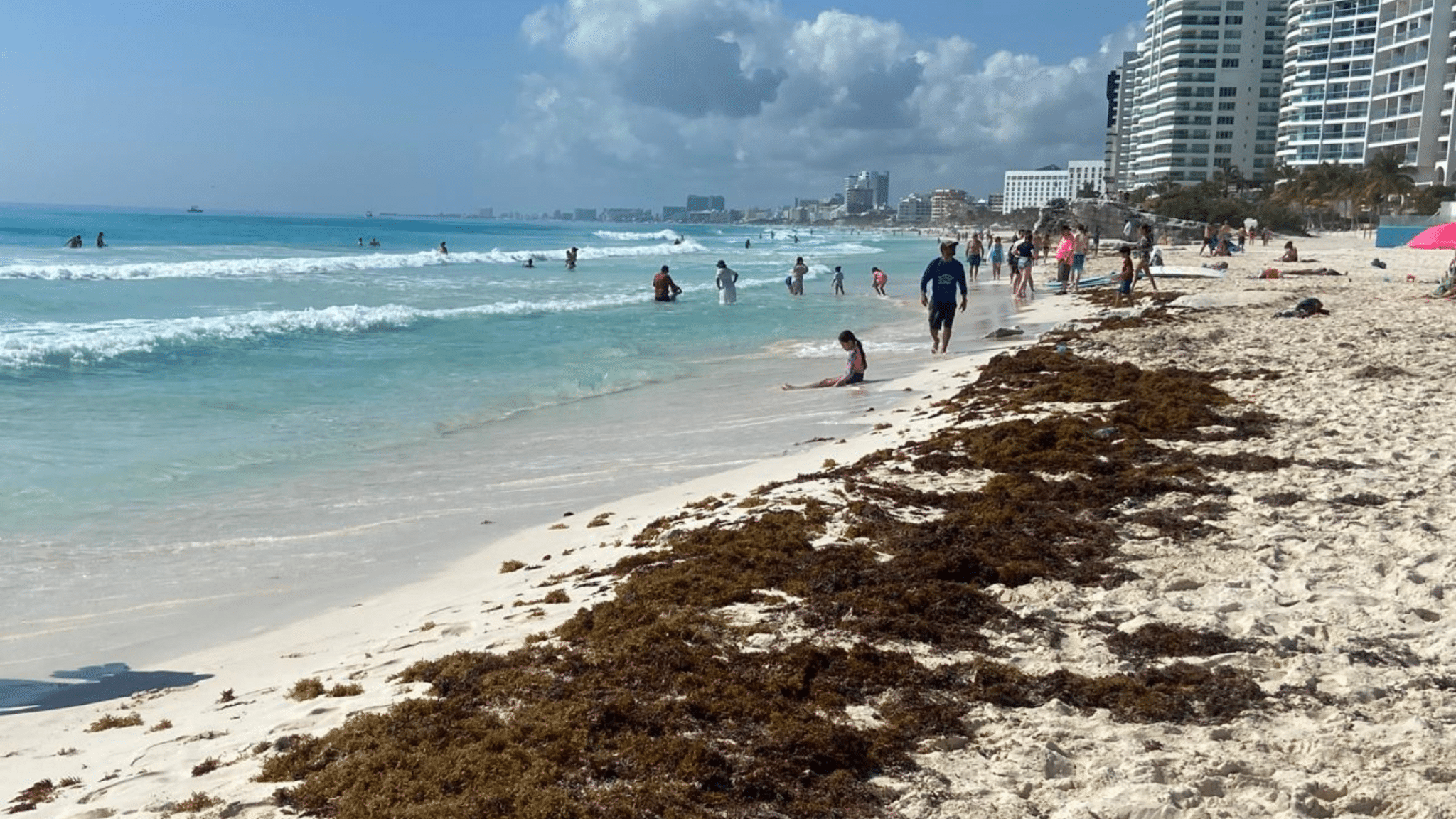 Disminuye el sargazo en el Caribe mexicano y da un respiro a las playas