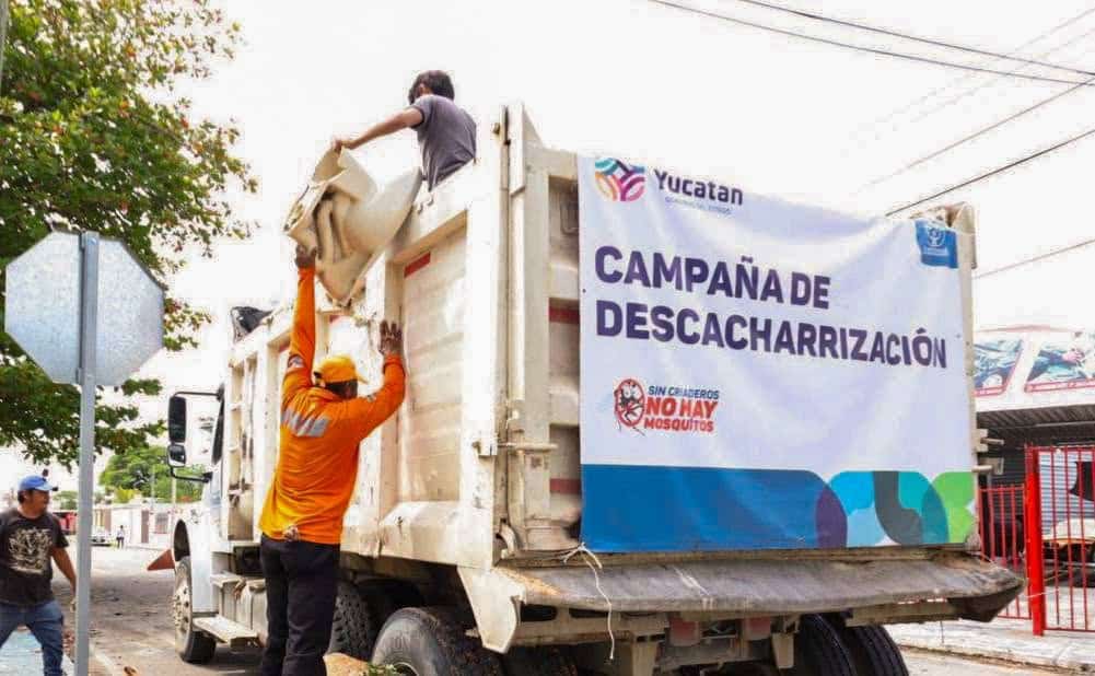 Yucatán refuerza estrategia contra el dengue