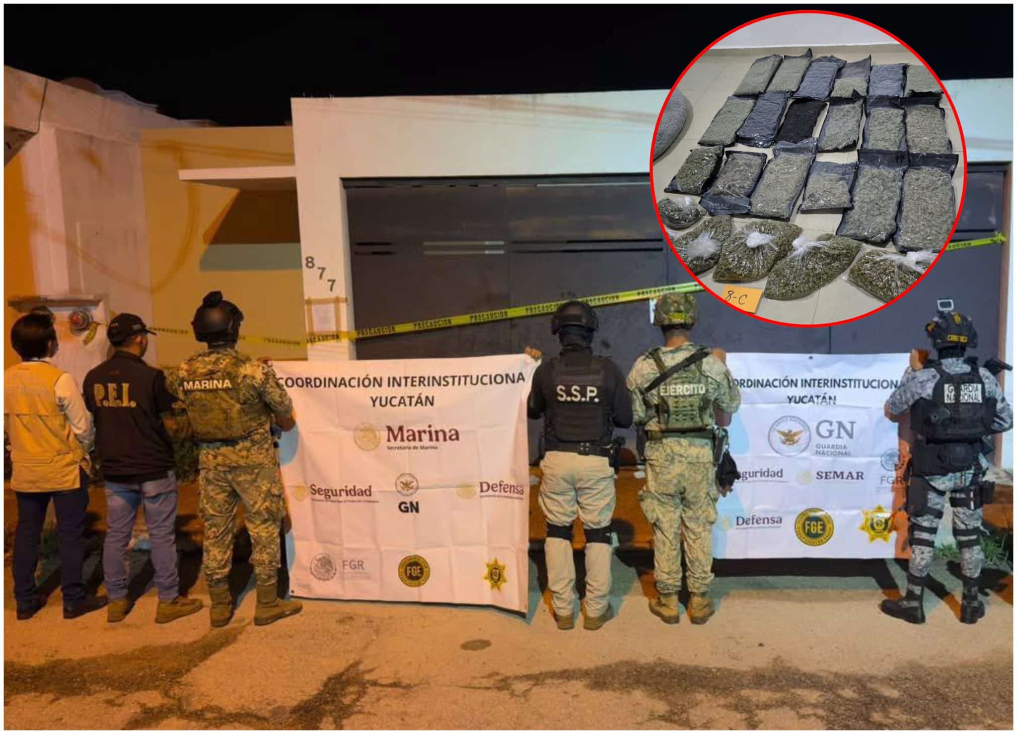 Aseguran marihuana durante cateos en Mérida y Conkal
