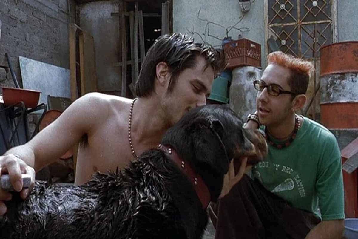 Amores Perros: premios, impacto y el libro de su historia