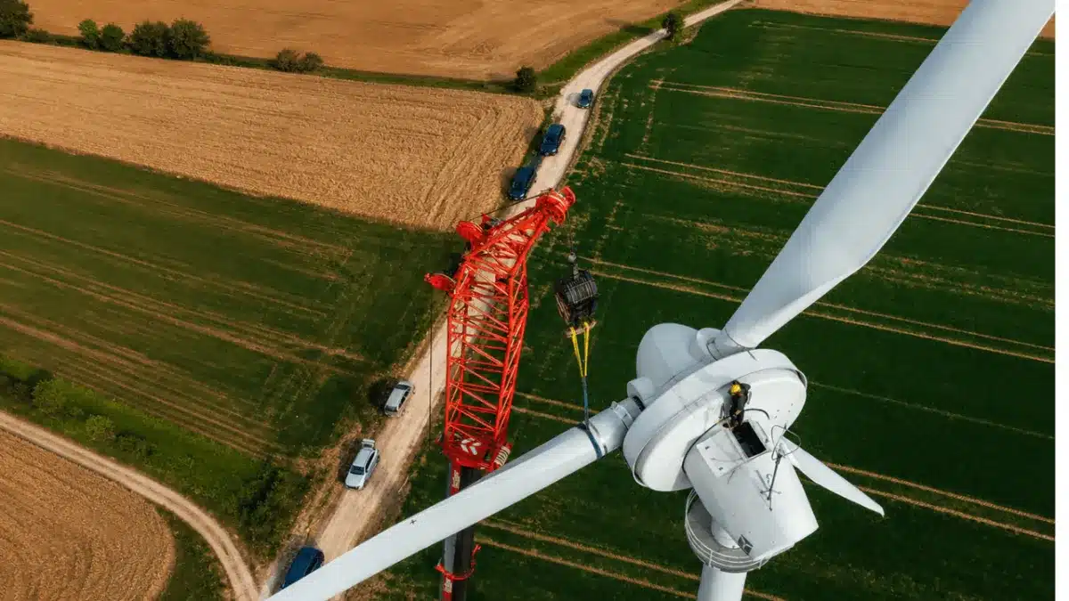 Energía eólica: Navarra proyecta una fábrica de palas de madera