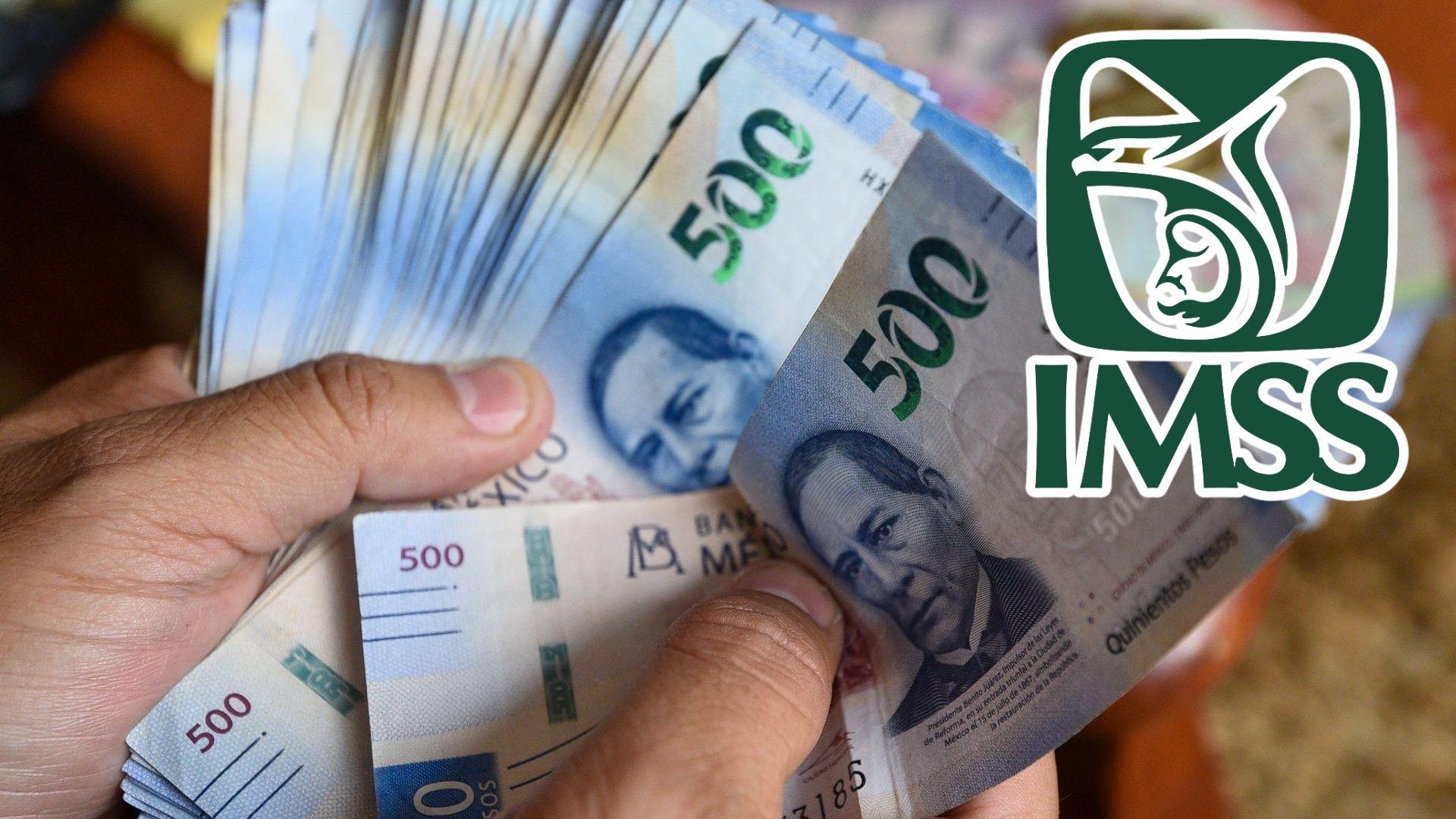 Pensión IMSS: quién puede perderla en 2026 y qué puedes hacer
