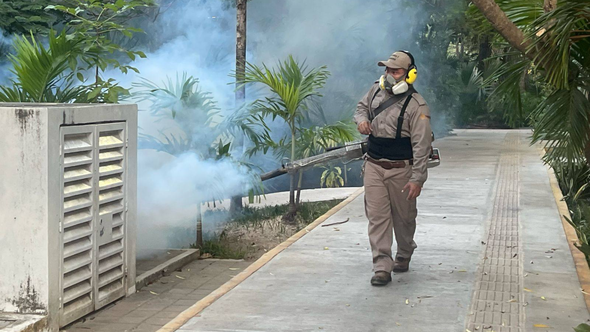 Dengue aumenta 102% en la península de Yucatán durante 2026