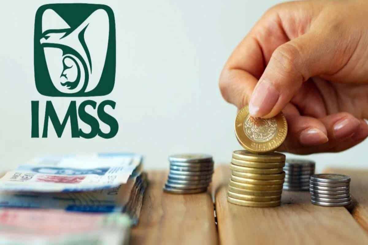IMSS: Qué son las semanas cotizadas