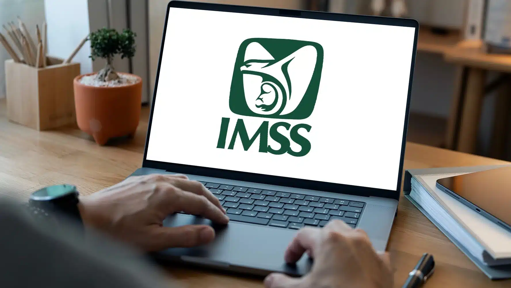 IMSS: así puedes saber si estás activo y consultar tu vigencia