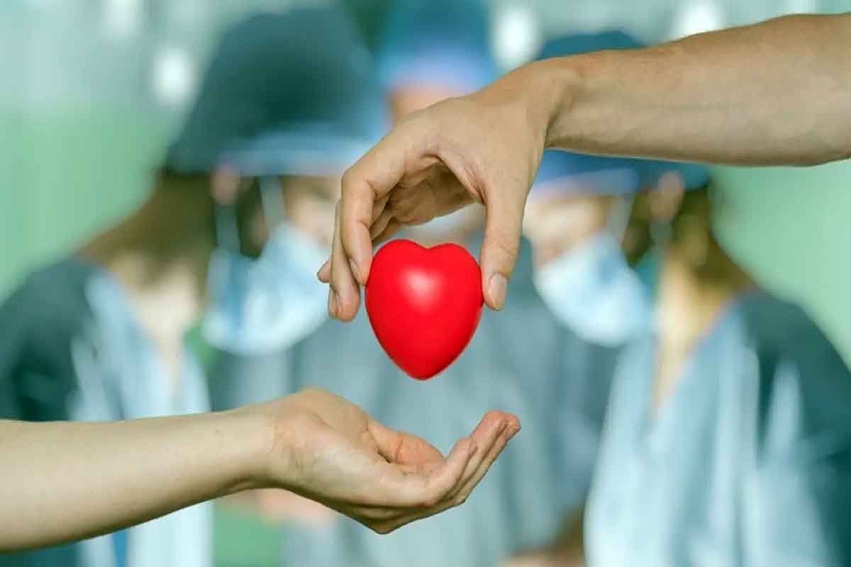 IMSS cómo donar tus órganos y registrarte IMSS: cómo donar tus órganos y registrarte