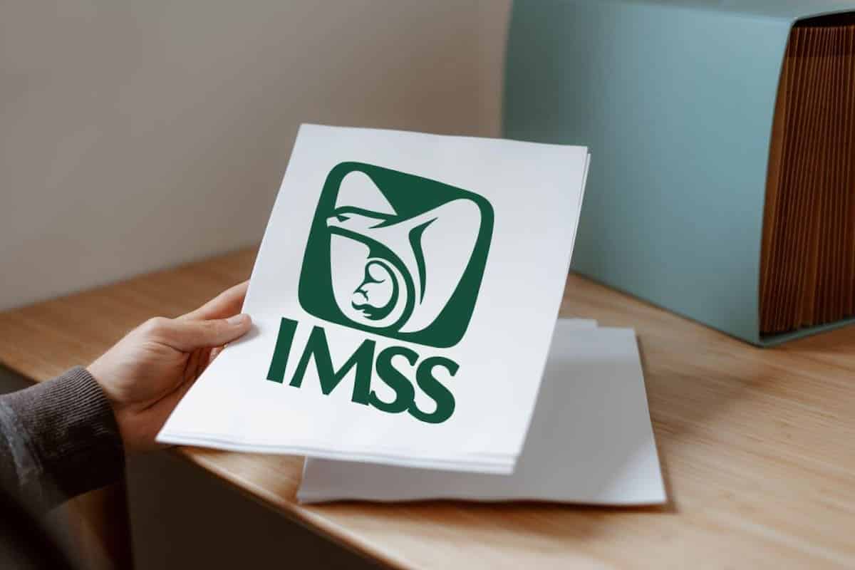 IMSS: los 5 seguros para emprendedores; costos y requisitos