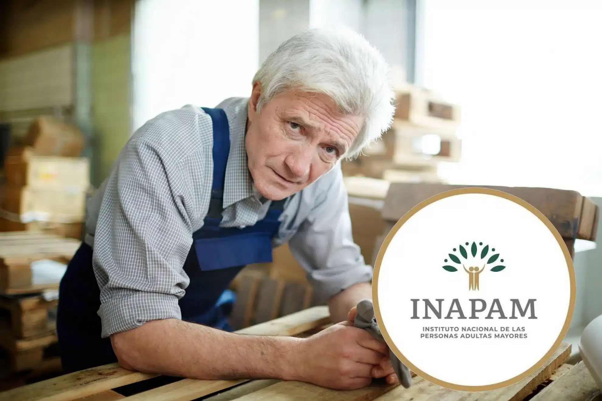 INAPAM así puedes buscar empleo y generar ingresos después de los 60 INAPAM: así puedes buscar empleo y generar ingresos después de los 60