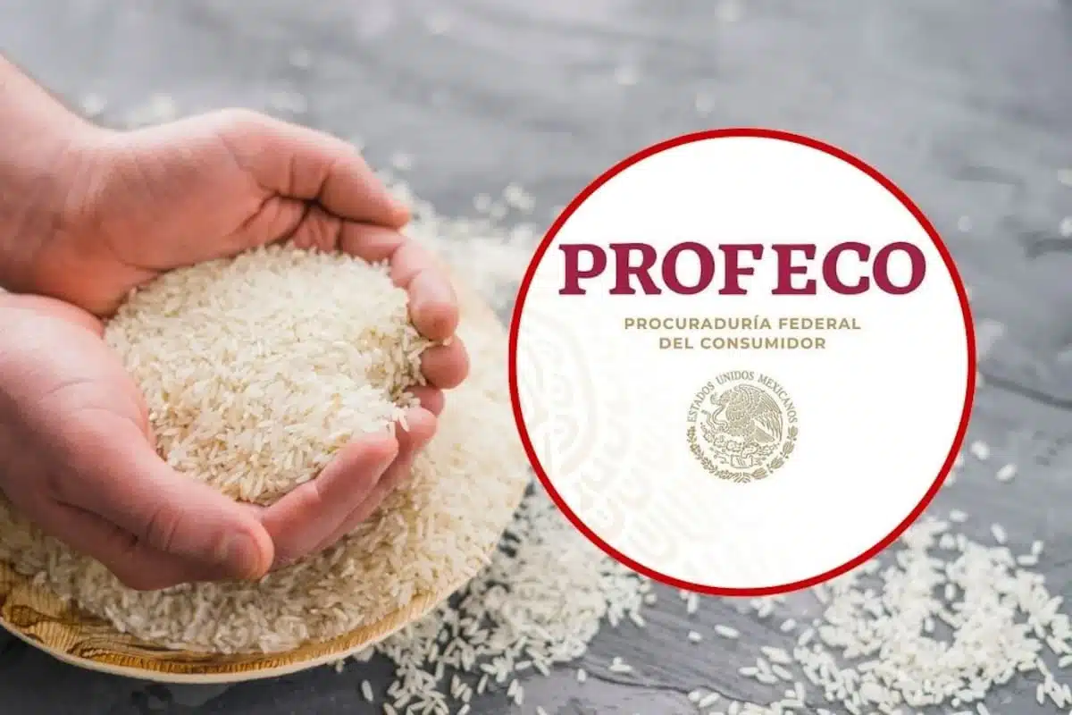 Profeco revisó 38 arroces: ¿qué encontró en sus pruebas de calidad?