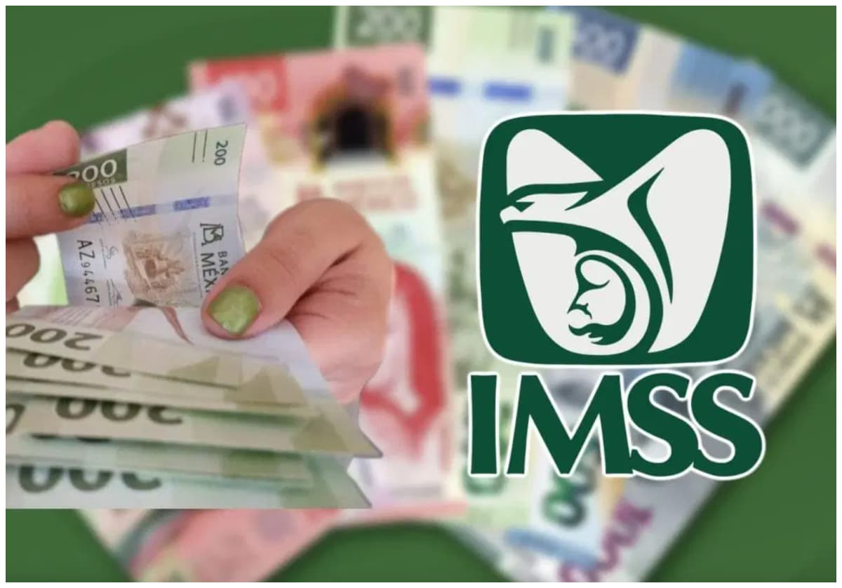 ¿Quiénes no reciben aguinaldo del IMSS en 2026 y por qué quedan fuera?