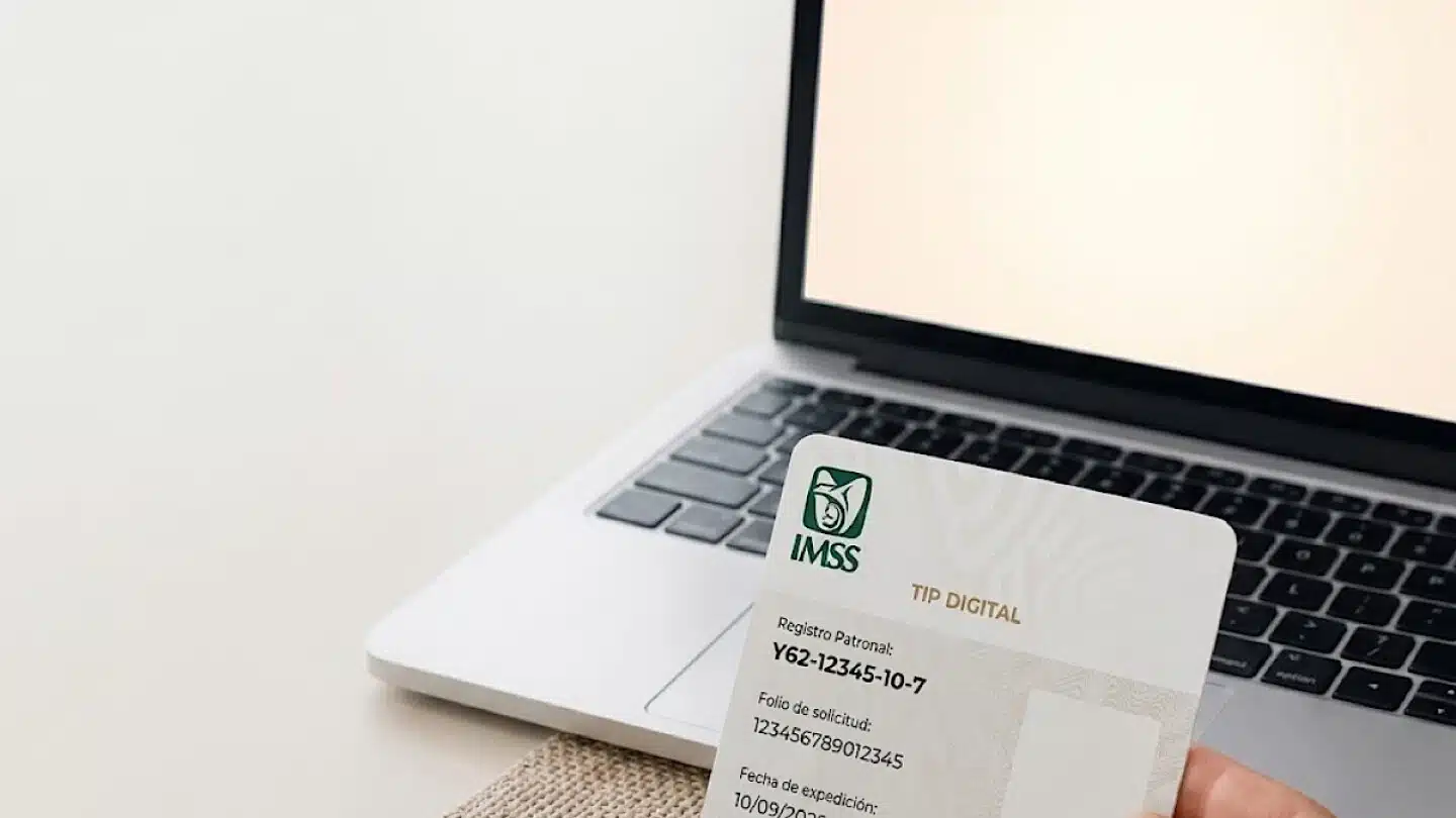 IMSS digitaliza la tarjeta patronal: así puedes obtenerla en línea